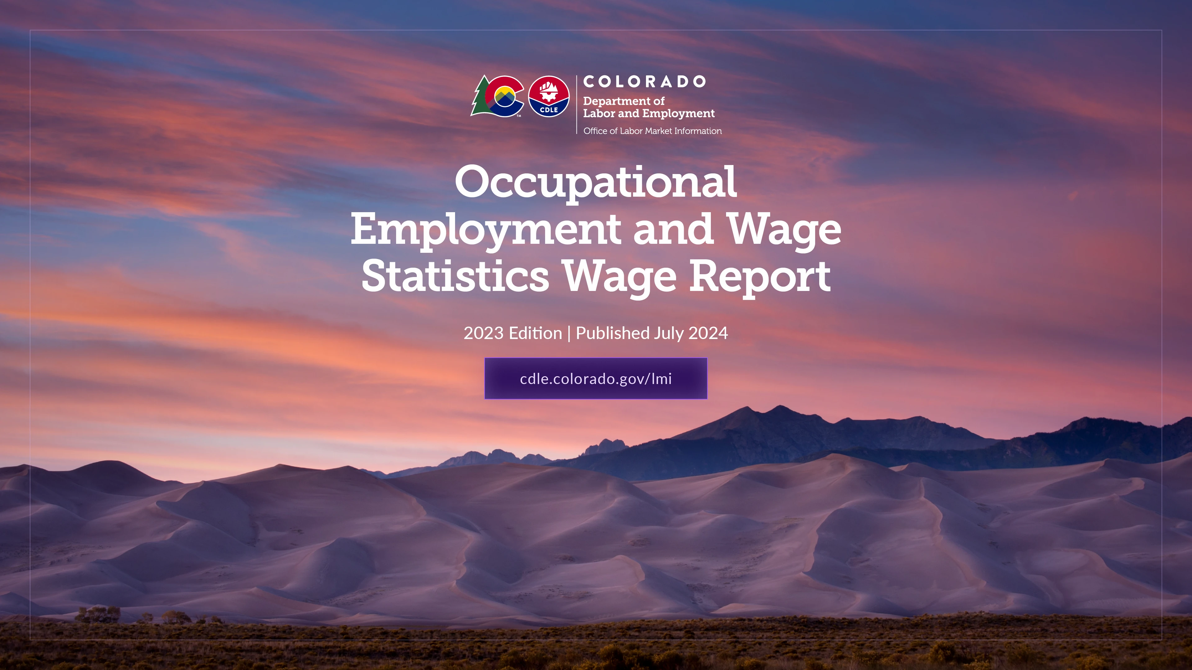Cover of the occupational wage report